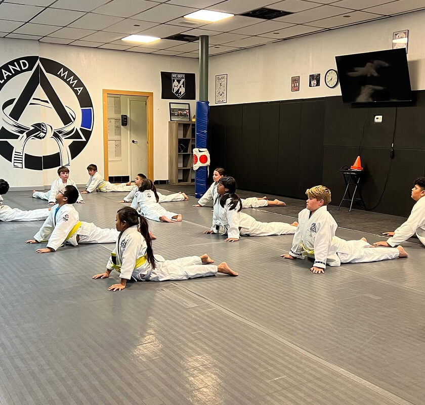 Get your Class pass today! - Kids Brazilian Jiu-Jitsu